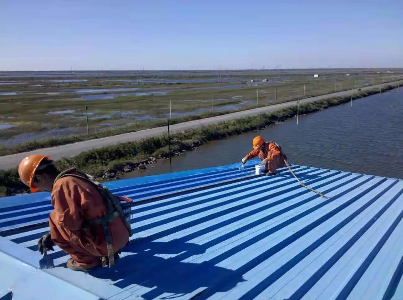 滨城彩钢瓦屋面防腐翻新